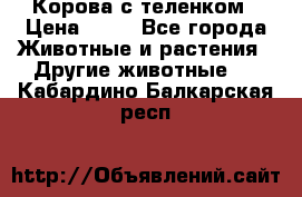 Корова с теленком › Цена ­ 69 - Все города Животные и растения » Другие животные   . Кабардино-Балкарская респ.